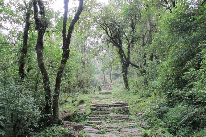 2-Day Private Trekking Tour to Australian Camp & Dhampus - Tour Specifications