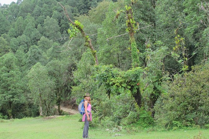 2-Day Private Trekking Tour to Australian Camp & Dhampus - Traveler Feedback