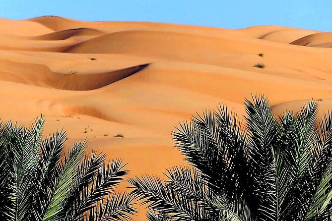 2-Day Private Wahiba Sands Desert Camping Tour From Muscat - Pickup and Meeting Details