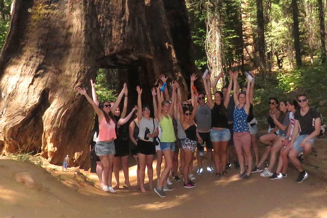2-Day Private Yosemite Tour: Waterfalls, Sequoias and Glacier Pt - Customize Your Tour Itinerary