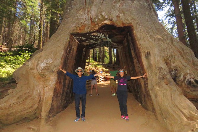 2-Day Private Yosemite Tour: Waterfalls, Sequoias and Glacier Pt - Luxury Transportation and Accommodations