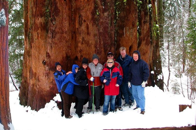 2-Day Private Yosemite Tour: Waterfalls, Sequoias and Glacier Pt - Convenient Pickup and Drop-off Locations