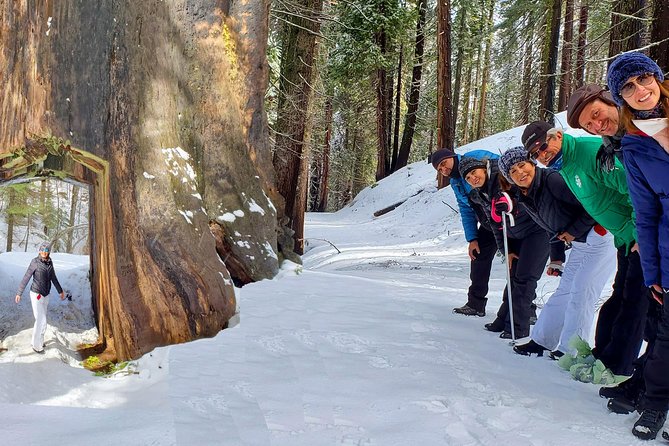 2-Day Private Yosemite Tour: Waterfalls, Sequoias and Glacier Pt - Health and Safety Considerations