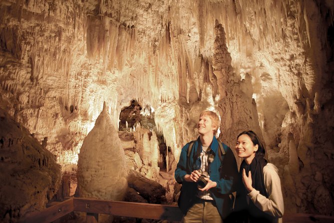 2 Day Rotorua Experience: Waitomo Caves, Maori Culture & Ziplining From Auckland - Waitomo Glowworm Caves