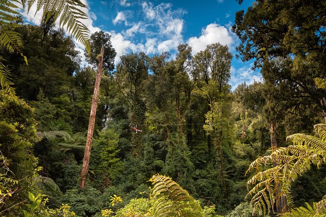 2 Day Rotorua Experience: Waitomo Caves, Maori Culture & Ziplining From Auckland - Rotorua Canopy Tours
