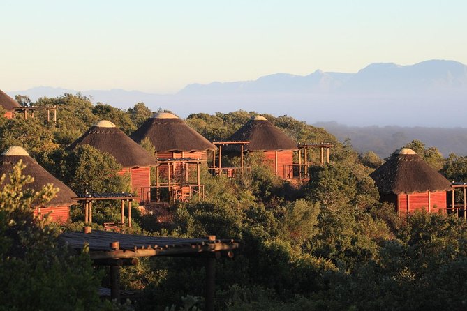 2 Day Safari Experience From Cape Town - Not Included