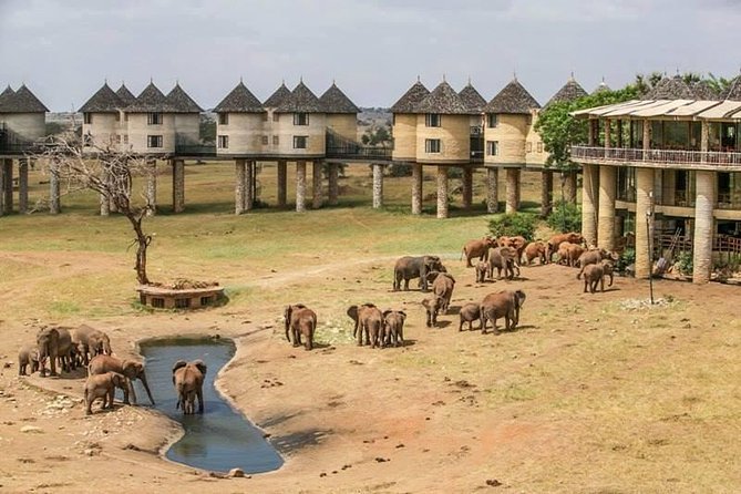 2-Day Safari in Taita Hills From Mombasa - Key Points