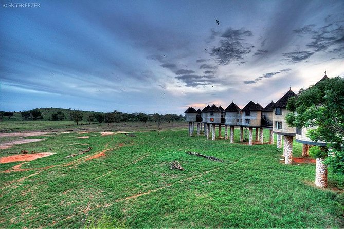 2-Day Safari in Taita Hills From Mombasa - Accommodations at Sarova Salt Lick