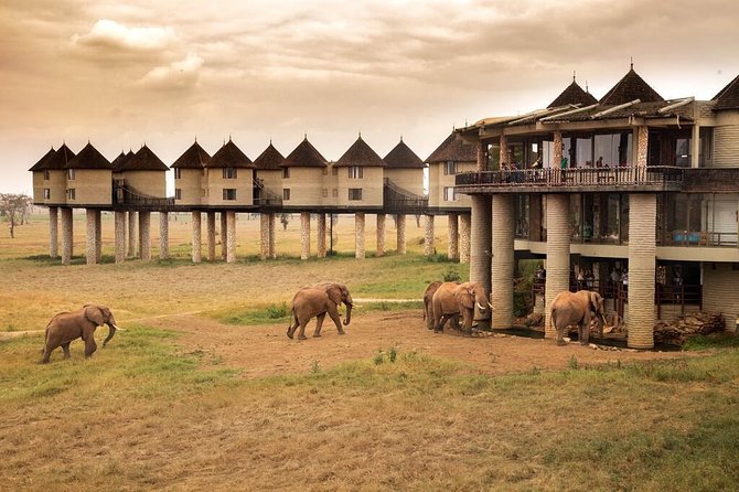 2-Day Safari in Taita Hills From Mombasa - English-Speaking Guide Assistance