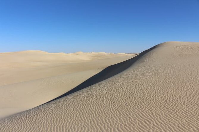 2 Day Safari in the White and Black Desert - Local Guide and Transportation