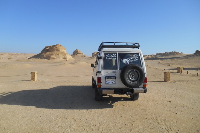 2 Day Safari in the White and Black Desert - National Park Fees and Gratuities