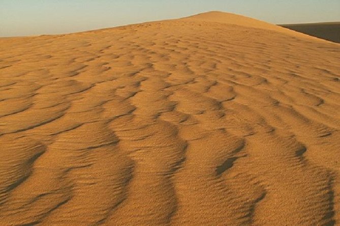 2 Day Safari in the White and Black Desert - Pricing and Customer Reviews