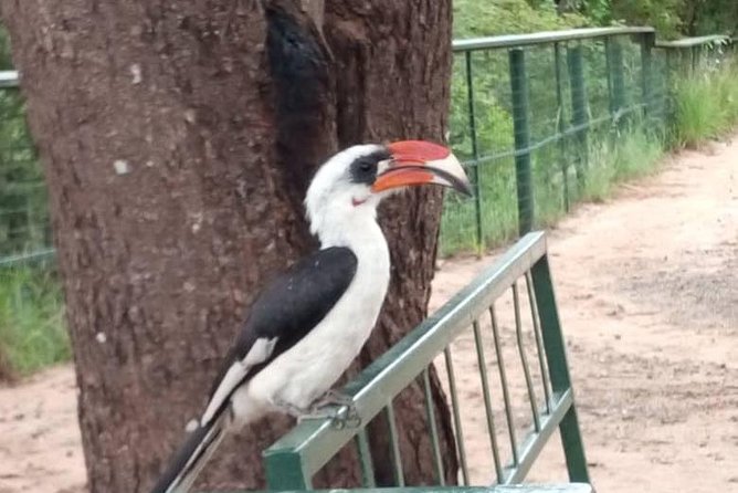 2 Day Safari to Mikumi National Park + Transfers From Dar Es Salam - Tour Operator Information