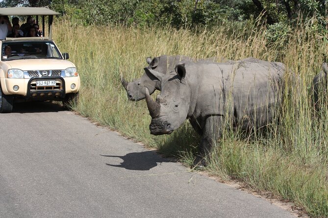 2-Day Safari Tour in Kruger National Park - Tour Duration and Schedule