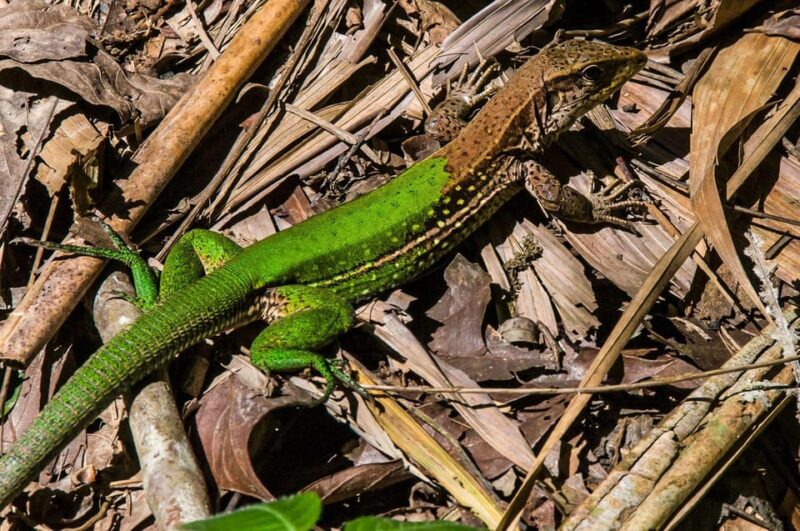 2-Day Sandoval Lake Adventure - Key Points