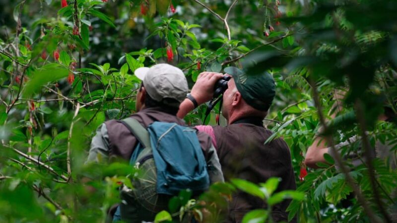 2-Day Sandoval Lake Adventure - Guided Jungle Hike and Wildlife Observation