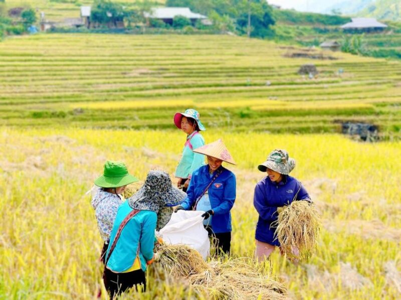 2-Day Sapa Ethnic Homestay Experiences - Accommodation Details