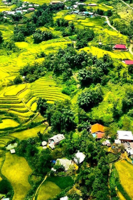2-Day Sapa Tour - Overnight in Ta Van Village (All in One) - Cancellation Policy