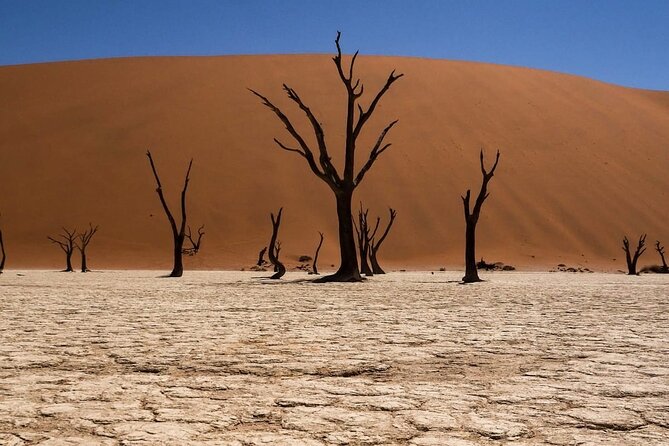 2 Day Scenic Sossusvlei Adventure Tour in Namibia - Pickup and Start Details