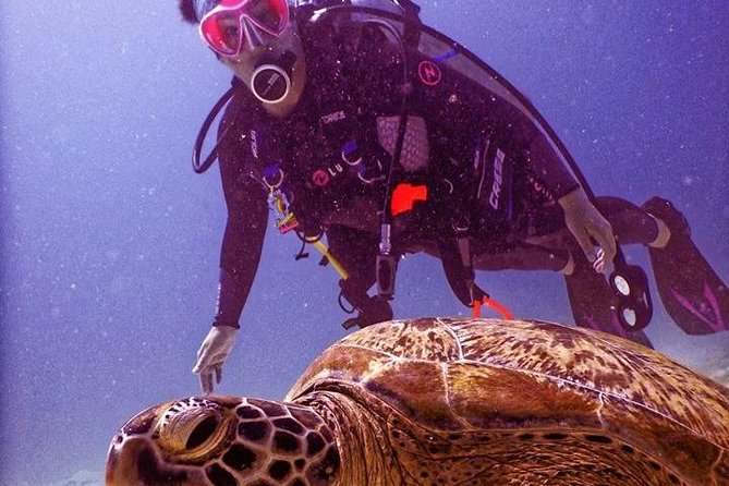 2-Day Scuba Diver Course in Koh Chang - Course Overview