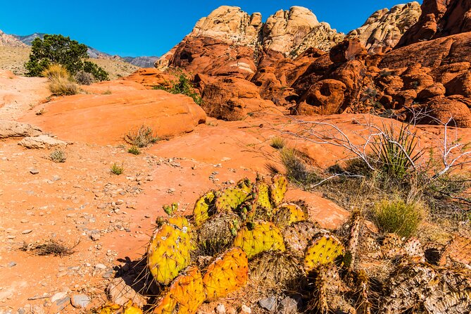 2-Day Self-Guided Las Vegas Day Trips: Hoover Dam + Red Rock - Tour Overview and Features
