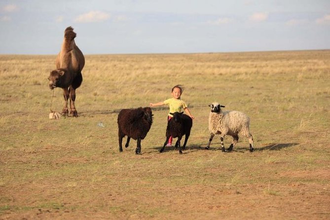 2 Day Semi-Gobi Tour With Nomads and Free Camel Ride - Booking and Cancellation Policy
