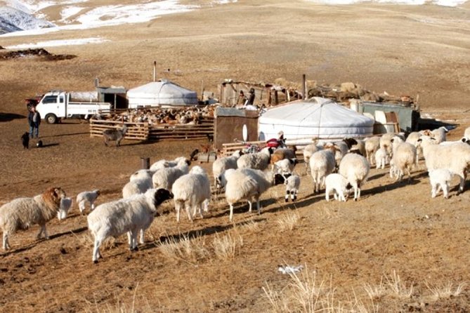 2 Day Semi-Gobi Tour With Nomads and Free Camel Ride - Cultural Experiences