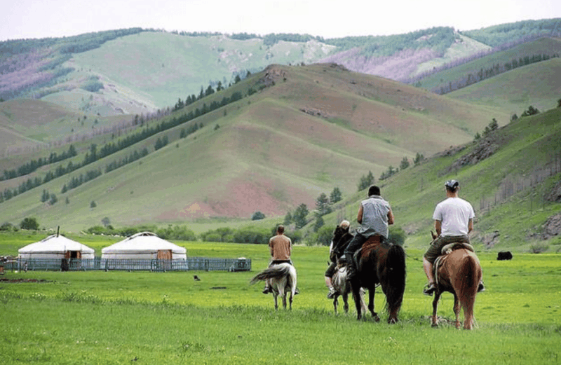 2 DAY Sheep Herding & Horse Trekking With MONGOLIAN NOMADS - Key Points