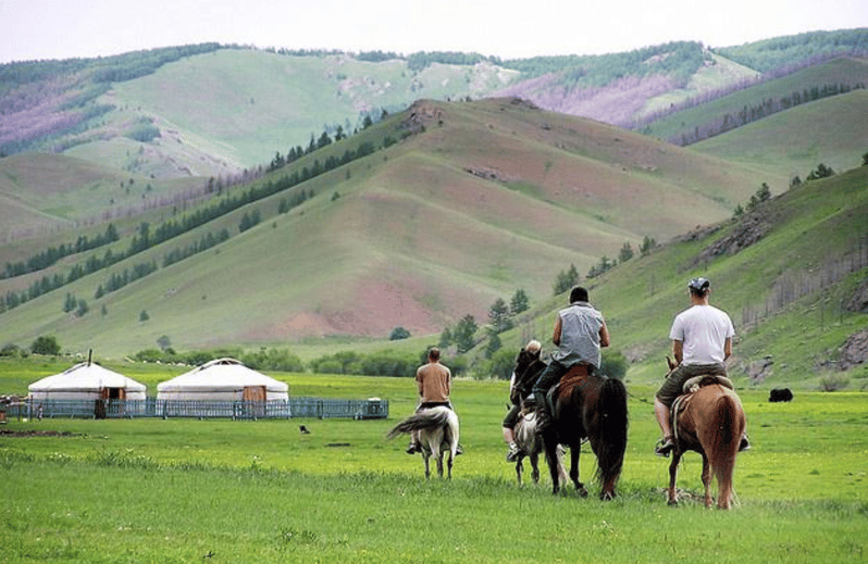 2 DAY Sheep Herding & Horse Trekking With MONGOLIAN NOMADS - Inclusions