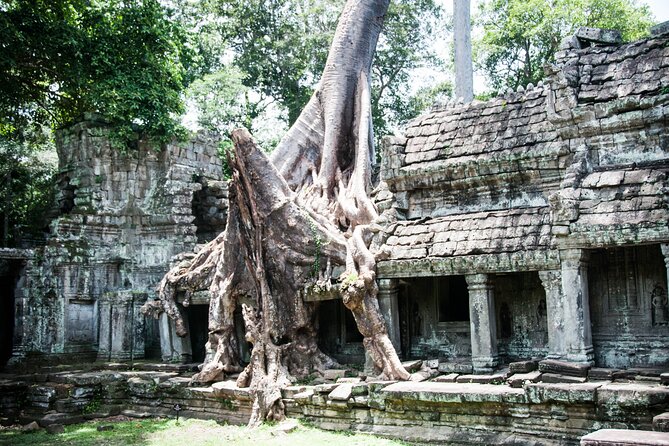 2-Day Siem Reap Angkor Bicycle Experience - Ta Prohm