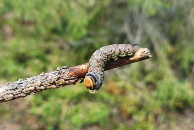 2-Day Small-Group Basic Skills Survival Course in Södermanland - Booking and Cancellation