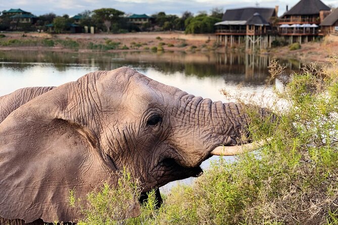 2 Day Small Group Garden Route Big 5 Safari Tour From Cape Town - Accessibility and Participation