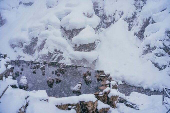 2-Day Snow Monkey Tour: Nagano To Takayama via Matsumoto - Transfer to Takayamas Old Town