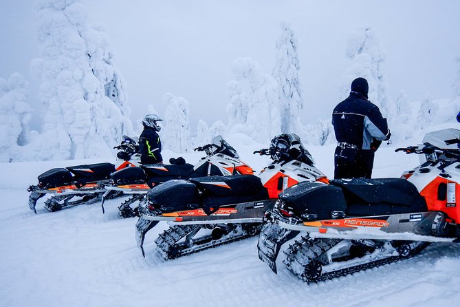 2-Day Snowmobile Expedition in Swedish Lapland - Cuisine and Catering