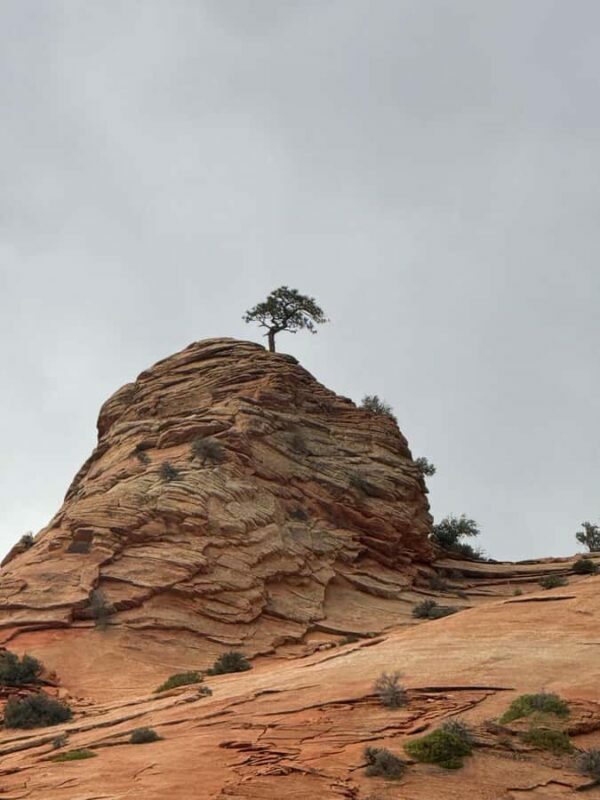 2 Day: Southwest Canyons Tour - A Closer Look at the Itinerary and Experience