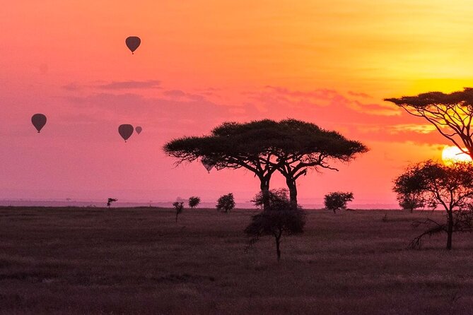 2-Day Sublime Safari to Tarangire and Ngorongoro Safari - Included Amenities