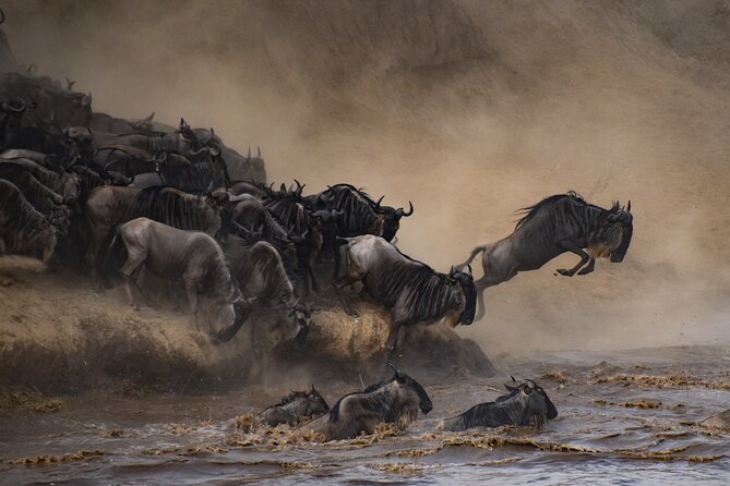 2-Day Sublime Safari to Tarangire and Ngorongoro Safari - Pickup and Accessibility
