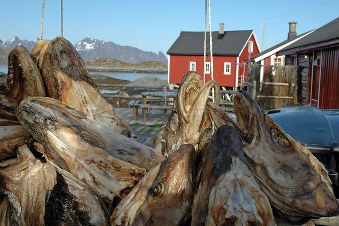 2 - Day Summer Highlights of Lofoten Islands - Scenic Locations
