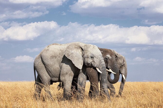 2 Day Tanzania Tour - Itinerary Day 1