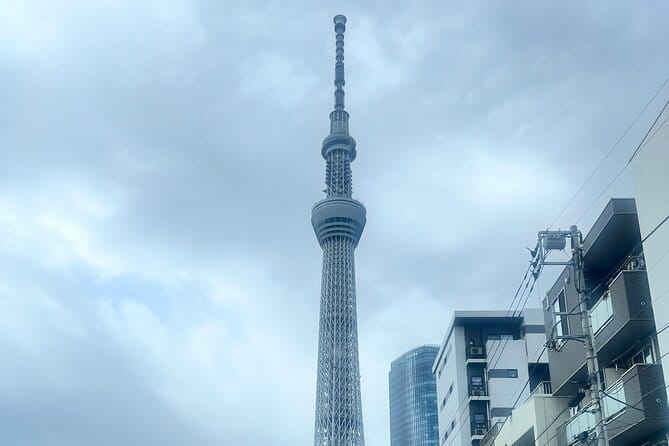 2-Day Tokyo-Mt. Fuji Hakone Odawara Castle Kamakura, Onsen Ryokan - Accessibility and Policies