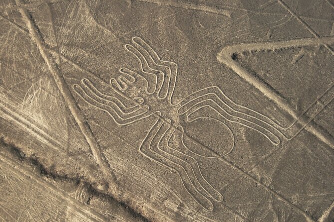 2 Day Tour From Lima: Nazca Lines Flight, Paracas, and Huacachina - Cancellation Policy