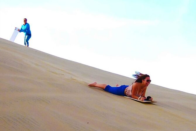 2 Day Tour From Lima: Paracas, Ballestas Island and Huacachina - Diverse Marine Life