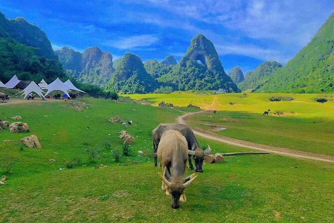 2 Day Tour in Ban Gioc Waterfalls From Hanoi - Accommodation and Meals