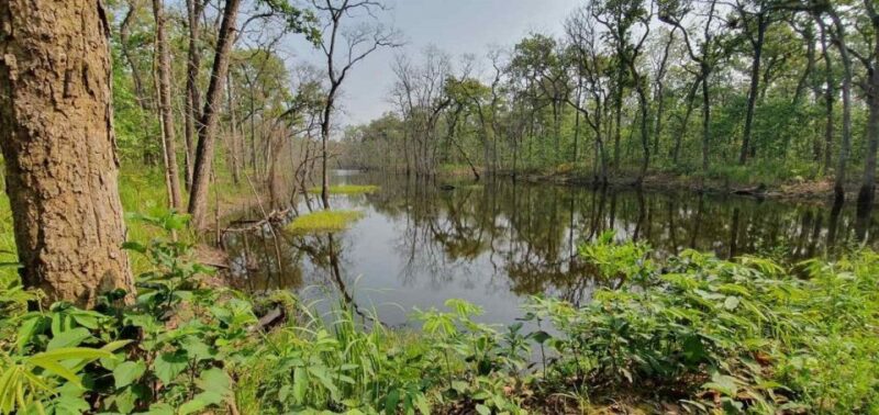 2 Day Tour in Chitwan - Transportation and Logistics
