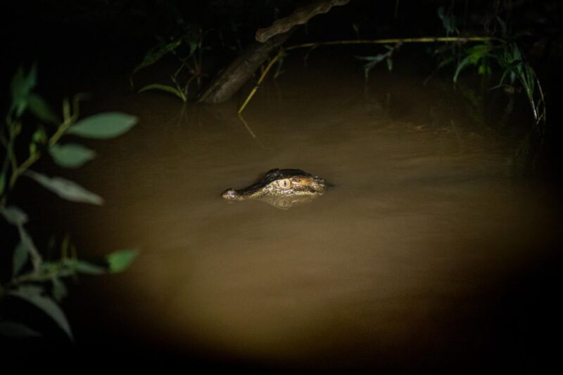 2 Day Tour in Tambopata Amazon - Day 1 Activities