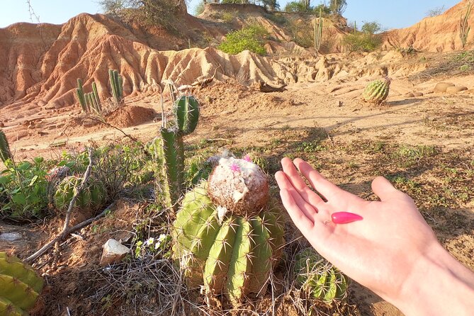 2-Day Tour in the Tatacoa Desert Local Experience - Highlights of the 2-Day Itinerary