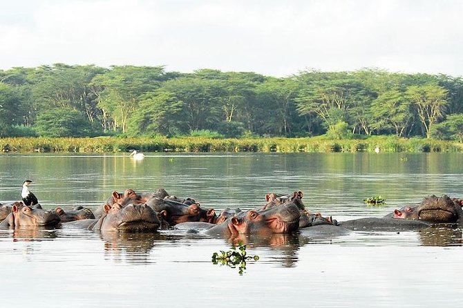 2 Day Tour Lake Nakuru, Hell S Gate & Lake Naivasha From Nairobi - Additional Considerations