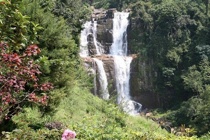 2 Day Tour of Udawalawe & Ella With up Country Scenic Train Ride - All Inclusive - Traveler Information