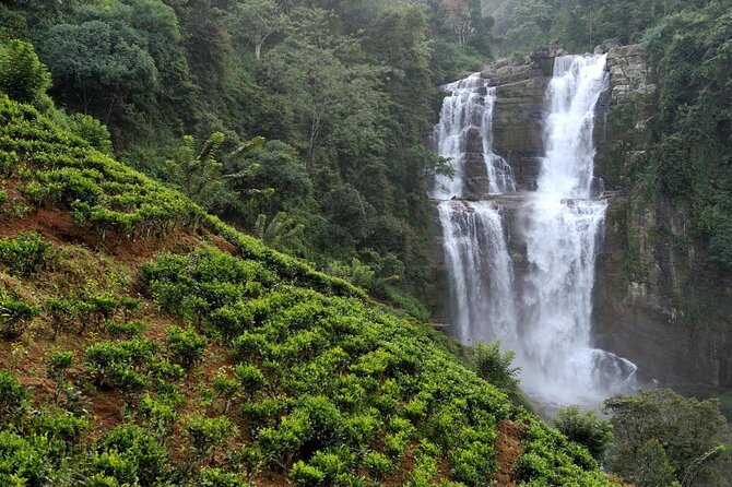 2 Day Tour of Yala & Ella With Hill Country Scenic Train Ride - All Inclusive - Key Points