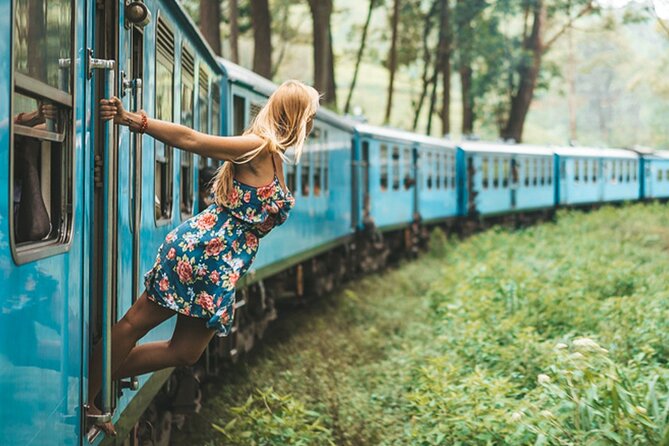 2 Day Tour of Yala & Ella With Hill Country Scenic Train Ride - All Inclusive - Included Experiences